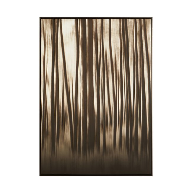 Large Black and Natural Modern Wall Art with Classic Frame, brown, SO'HOME