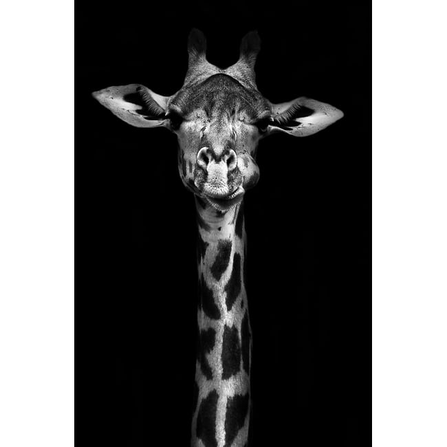 Tableau girafe haute en portrait - HEXOA