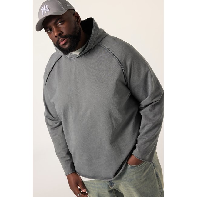 Sweat-shirt à capuche gris <span itemprop=