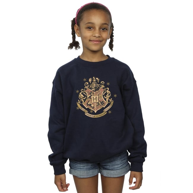 Sweat bleu marine <span itemprop=