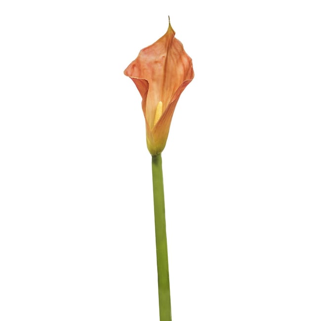 Tige d'arum artificielle H105 Couleur orange <span itemprop=