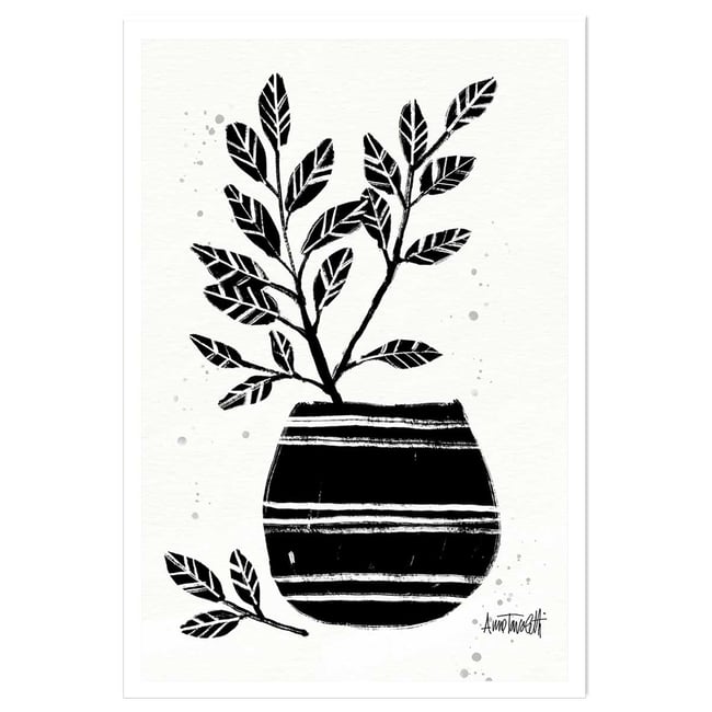 Illustration Poterie et botanique - HEXOA