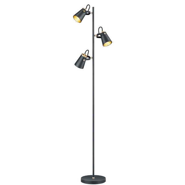Candeeiro de pé Edward, TRIO Lighting preto <span itemprop=