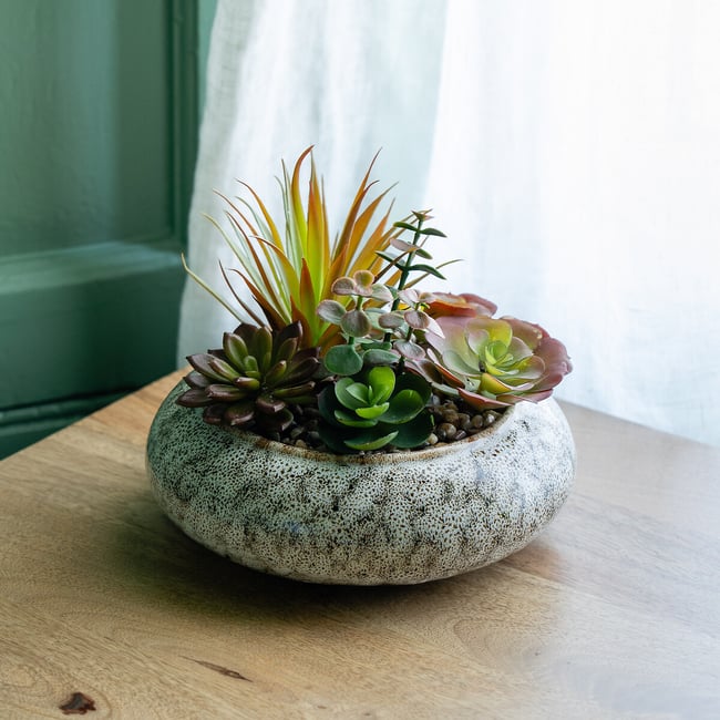 20cm Succulent Bowl, green, SO'HOME