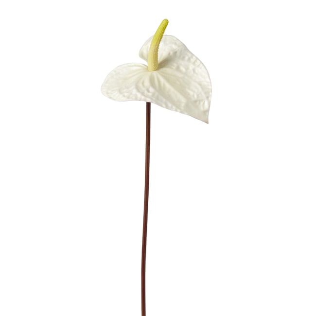 Tige d'anthurium artificielle H67 Couleur blanc <span itemprop=