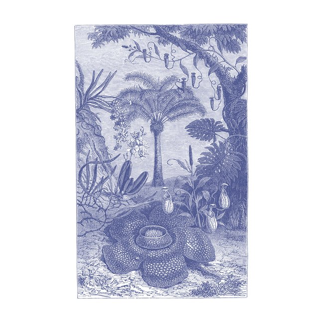 Papier peint panoramique Amabilis - motif botanique exotique 192x300 cm - LE PAPIERS DE NINON