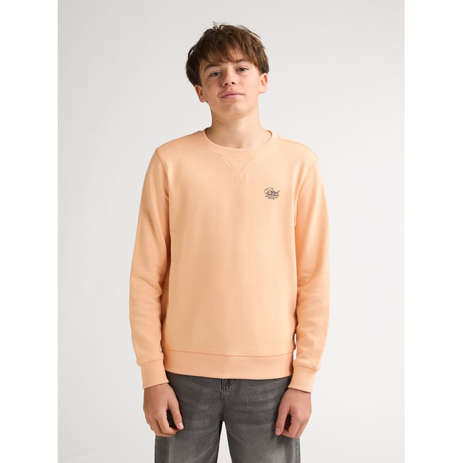 Sweat à col rond imprimé ocotillo orange tropical orange <span itemprop=