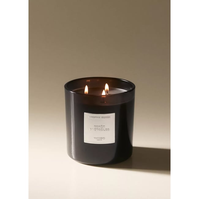 Bougie parfumée Forêt d’étoiles 500 g Couleur argent <span itemprop=