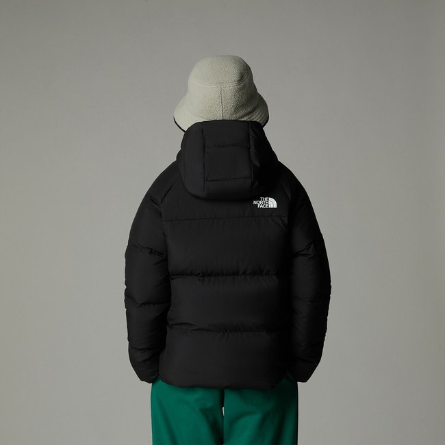 Hooded padded puffer jacket black The North Face La Redoute
