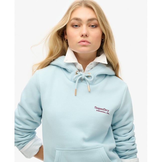 Sweat à capuche à logo Essential bleu ciel d’hiver <span itemprop=