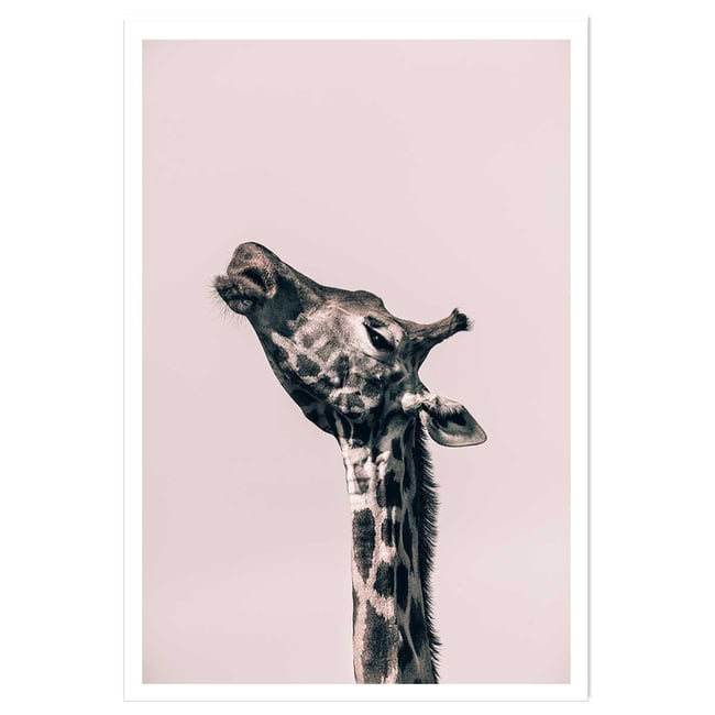 Affiche girafe ma reine - HEXOA