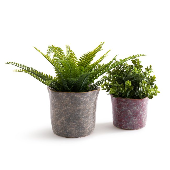 Set of 2 Oasia 13cm & 17cm Diameter Ceramic Flower Pots, purple, LA REDOUTE INTERIEURS