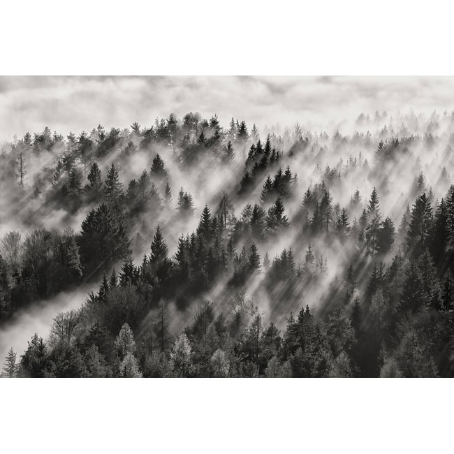 Tableau rayons de lumière - HEXOA