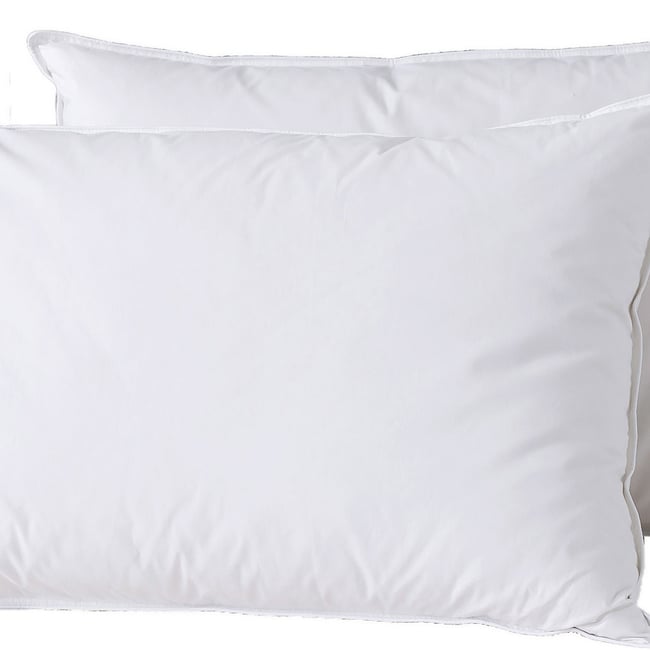 Lot 2 oreillers 50x70 cm Coton et Plumes de canard Blanc blanc <span itemprop=
