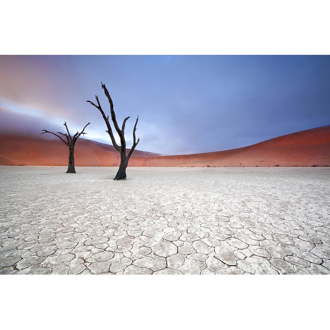 Tableau de Namibie, Le deadvlei - HEXOA