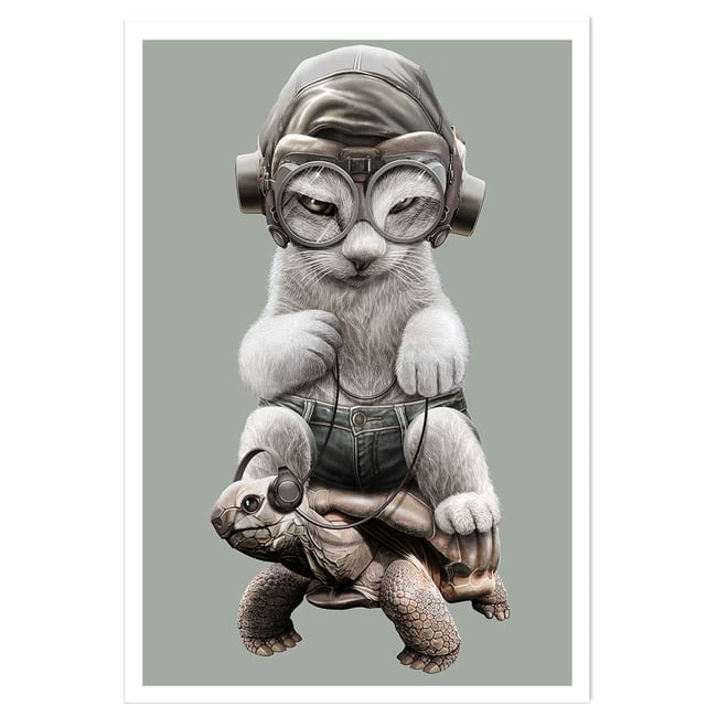 Affiche enfant chat sur une tortue - HEXOA
