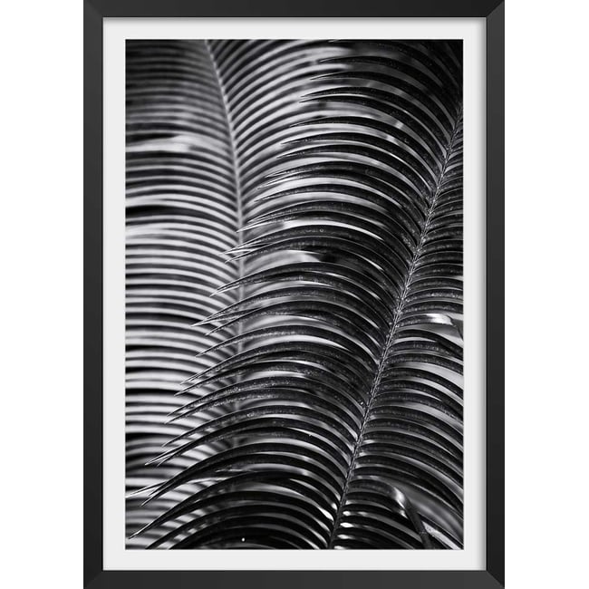 Poster jungle Sun palm - HEXOA