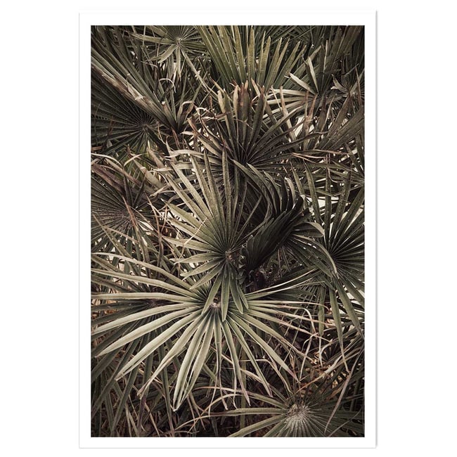 Poster tropicana mood - HEXOA