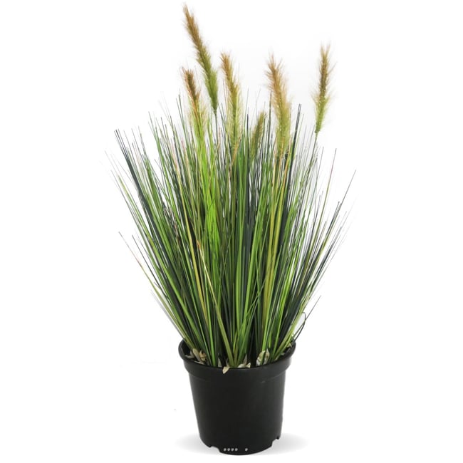 Graminée artificielle Fleurs vertes H 60 cm Couleur caramel <span itemprop=