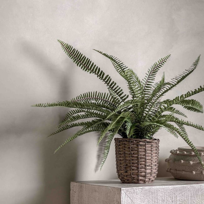 81cm Potted Fern Plant, green, ÉDITÉ