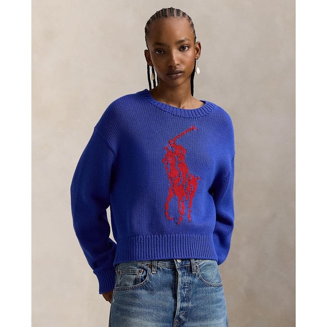 Pull à col rond, à manches longues, avec logo devant bleu royal <span itemprop=