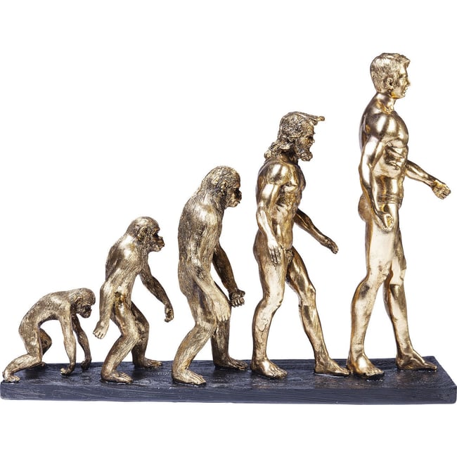 Déco évolution homme Couleur bronze <span itemprop=