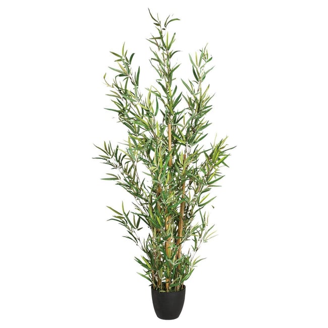 Bambou artificiel Couleur vert <span itemprop=