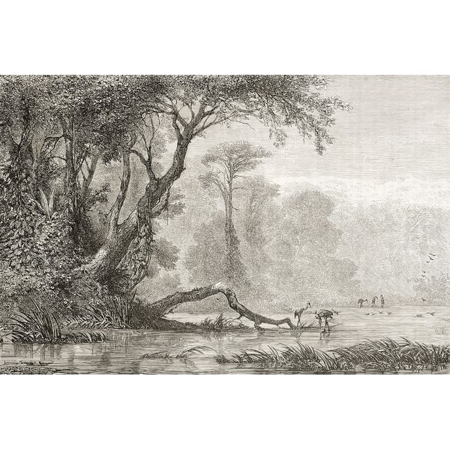 Tableau gravure les bords du fleuve - HEXOA