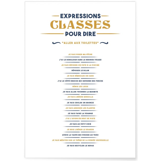 Affiche Expressions classes pour dire 'Je vais aux toilettes' Couleur blanc <span itemprop=