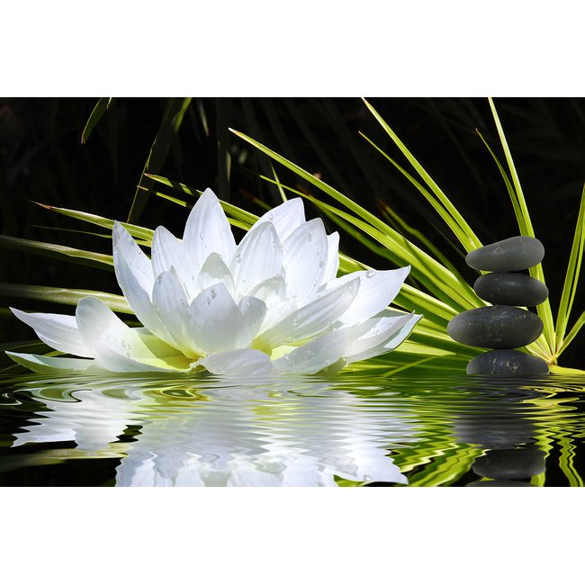 Tableau fleur de lotus et galets - HEXOA