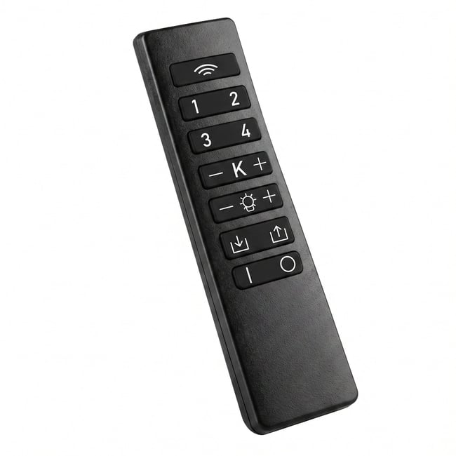 Accessoire REMOTE CONTROL Couleur noir <span itemprop=