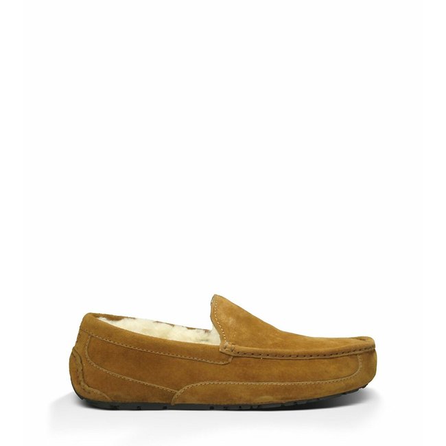 Pantofole Ascot castagna UGG