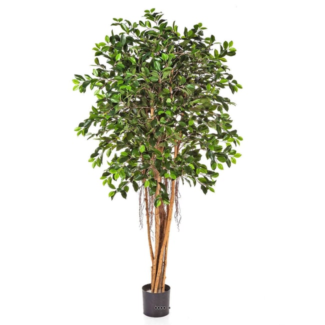 Ficus Retusa artificiel H 150 cm 1440 feuille Couleur vert <span itemprop=