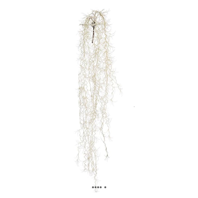 Chute de tillansia artificiel L 80 cm blanc Couleur v002227 <span itemprop=
