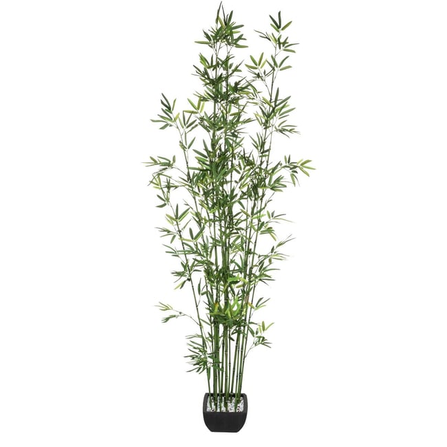 Bambou artificiel Couleur vert <span itemprop=