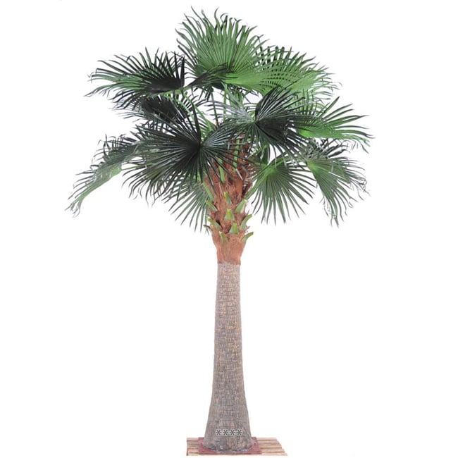 Palmier Chamaerops Washingtonia artificiel Couleur vert <span itemprop=