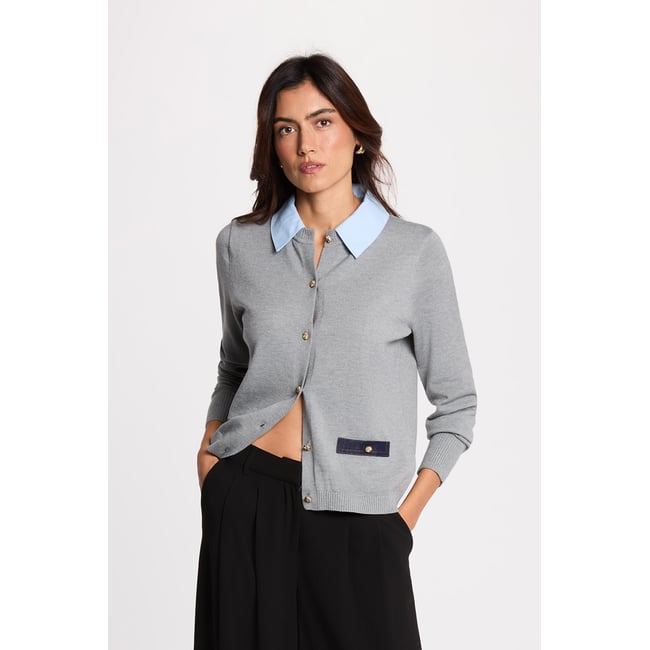 Pull col à revers gris clair <span itemprop=