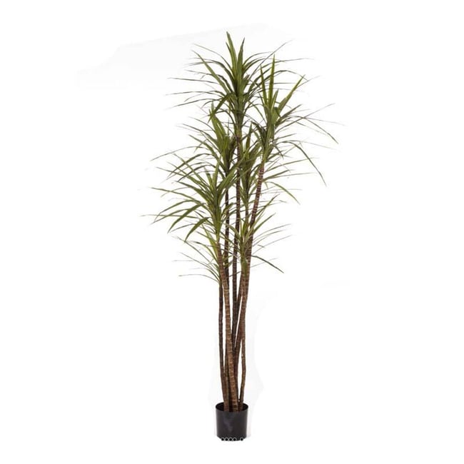 Dracaena magenta artificiel H 120 cm Couleur vert <span itemprop=