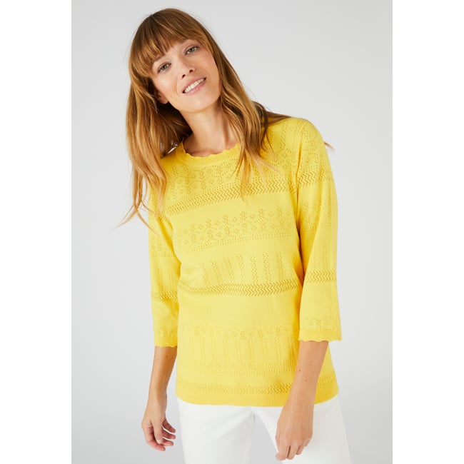 Pull ajouré en coton majoritaire jaune paille <span itemprop=