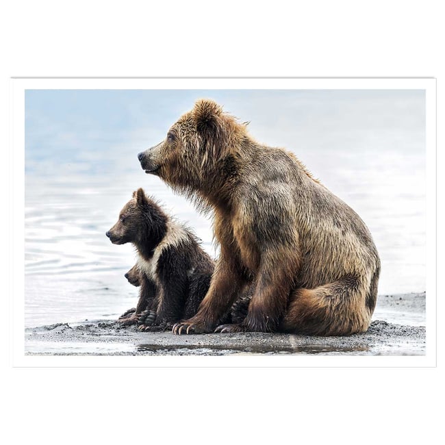 Affiche animaux profile Family - HEXOA