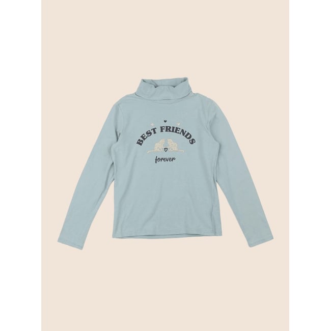 Sous-pull - Etat satisfaisant vert <span itemprop=