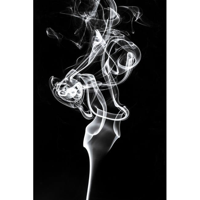 Tableau  white smoke tulip dream - HEXOA