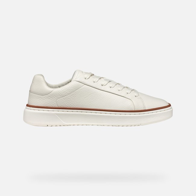 Baskets  U ZACKERTY - GEOX