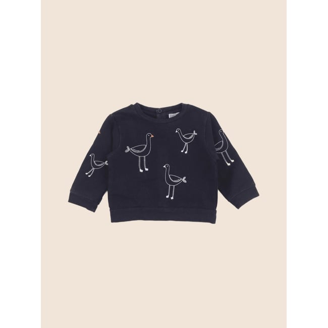 Sweat - Etat satisfaisant bleu <span itemprop=