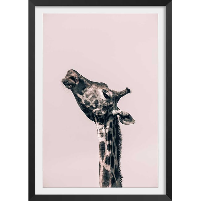 Affiche girafe ma reine - HEXOA