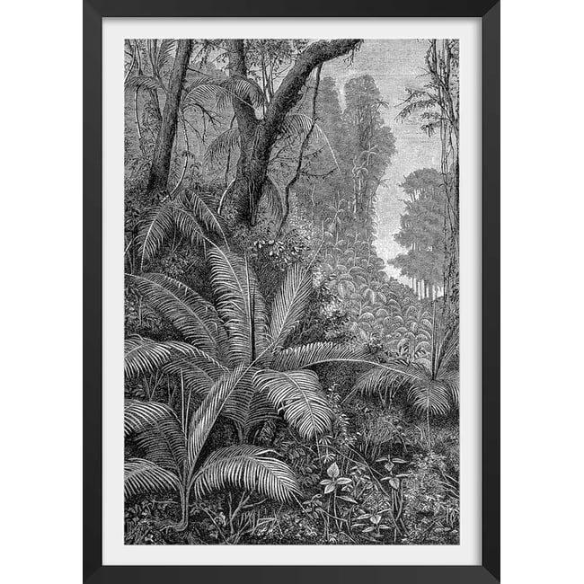 Affiche paysage jungle indienne - HEXOA