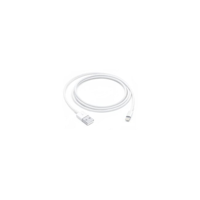 Câble Lightning Lightning vers USB 1m - APPLE