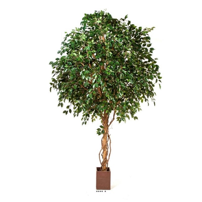 Ficus exotique géant artificiel H 315 cm Couleur vert <span itemprop=