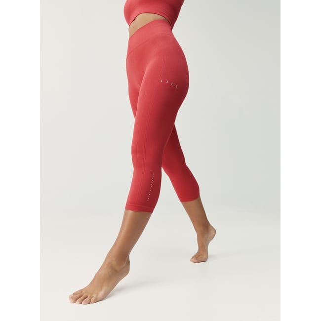 Legging de sport Capri Seamless ZINA terracotta <span itemprop=