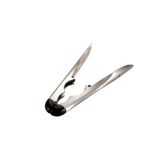 Casse-noix NOCETTO argent <span itemprop=
